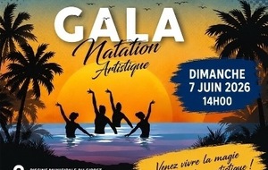 Gala de Natation synchronisée