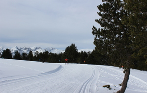 STAGE COMPÉTITION - Journée ski de fond au plateau de Beille (10/02/2017)