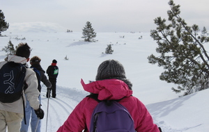 STAGE COMPÉTITION - Journée ski de fond au plateau de Beille (10/02/2017)