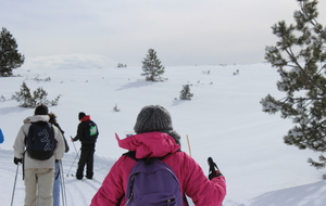 STAGE COMPÉTITION - Journée ski de fond au plateau de Beille (10/02/2017)