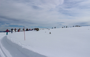 STAGE COMPÉTITION - Journée ski de fond au plateau de Beille (10/02/2017)