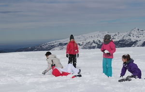 STAGE COMPÉTITION - Journée ski de fond au plateau de Beille (10/02/2017)