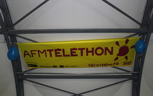 Téléthon 2017 organisé par le SPNS avec aquagym, aquabike, initiation au sauvetage sportif, baptêmes de plongée avec le Club Sub-Aquatique de Saverdun, relais d'1km par les apnéiste et initiation à l'apnée par le club d'apnée saverdunois Inspyr'Apnée (2/12/2017)