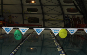 Téléthon 2017 organisé par le SPNS avec aquagym, aquabike, initiation au sauvetage sportif, baptêmes de plongée avec le Club Sub-Aquatique de Saverdun, relais d'1km par les apnéiste et initiation à l'apnée par le club d'apnée saverdunois Inspyr'Apnée (2/12/2017)