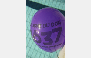 Téléthon 2017 organisé par le SPNS avec aquagym, aquabike, initiation au sauvetage sportif, baptêmes de plongée avec le Club Sub-Aquatique de Saverdun, relais d'1km par les apnéiste et initiation à l'apnée par le club d'apnée saverdunois Inspyr'Apnée (2/12/2017)