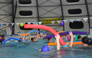 Téléthon 2017 organisé par le SPNS avec aquagym, aquabike, initiation au sauvetage sportif, baptêmes de plongée avec le Club Sub-Aquatique de Saverdun, relais d'1km par les apnéiste et initiation à l'apnée par le club d'apnée saverdunois Inspyr'Apnée (2/12/2017)