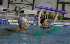 Téléthon 2017 organisé par le SPNS avec aquagym, aquabike, initiation au sauvetage sportif, baptêmes de plongée avec le Club Sub-Aquatique de Saverdun, relais d'1km par les apnéiste et initiation à l'apnée par le club d'apnée saverdunois Inspyr'Apnée (2/12/2017)