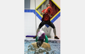 Téléthon 2017 organisé par le SPNS avec aquagym, aquabike, initiation au sauvetage sportif, baptêmes de plongée avec le Club Sub-Aquatique de Saverdun, relais d'1km par les apnéiste et initiation à l'apnée par le club d'apnée saverdunois Inspyr'Apnée (2/12/2017)