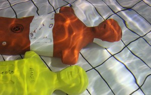 Téléthon 2017 organisé par le SPNS avec aquagym, aquabike, initiation au sauvetage sportif, baptêmes de plongée avec le Club Sub-Aquatique de Saverdun, relais d'1km par les apnéiste et initiation à l'apnée par le club d'apnée saverdunois Inspyr'Apnée (2/12/2017)