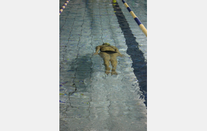 Téléthon 2017 organisé par le SPNS avec aquagym, aquabike, initiation au sauvetage sportif, baptêmes de plongée avec le Club Sub-Aquatique de Saverdun, relais d'1km par les apnéiste et initiation à l'apnée par le club d'apnée saverdunois Inspyr'Apnée (2/12/2017)