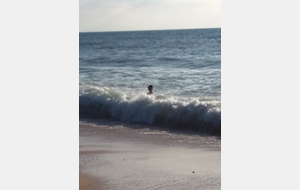 Mathias BRESEGHELLO participe à l'Ocean Perf Challenge, une compétition de sauvetage sportf à dimension internationale, à Capbreton (11/08/2018)

Crédit photo : Véronique B.