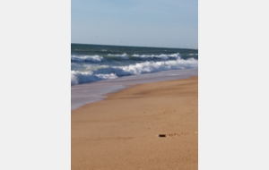 Mathias BRESEGHELLO participe à l'Ocean Perf Challenge, une compétition de sauvetage sportf à dimension internationale, à Capbreton (11/08/2018)

Crédit photo : Véronique B.