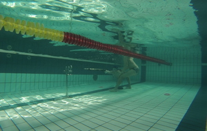 Tir sub-aquatique par Inspyr'Apnée

Photos Elodie Vianai