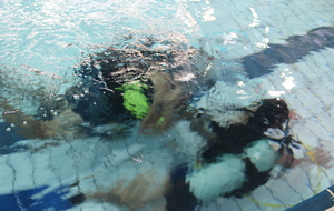 Initiation à la plongée par le Club Sub-Aquatique de Saverdun

Photos Elodie Vianai