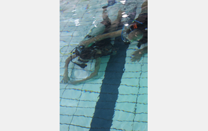 Initiation à la plongée par le Club Sub-Aquatique de Saverdun

Photos Elodie Vianai