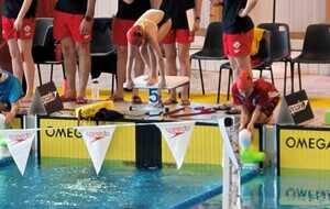 Championnats de France Jeunes de sauvetage sportif, les 4 et 5 mars à Poitiers (86). 