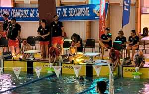 Championnats de France Jeunes de sauvetage sportif, les 4 et 5 mars à Poitiers (86). 