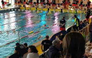 Championnats de France Jeunes de sauvetage sportif, les 4 et 5 mars à Poitiers (86). 