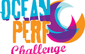 Ocean Perf Challenge