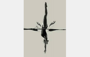SPECTACLE DE NATATION SYNCHRONISEE