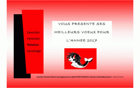 Voeux 2017