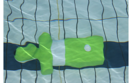 Calendrier 2019 compétitions sauvetage sportif
