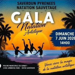 Gala de Natation synchronisée
